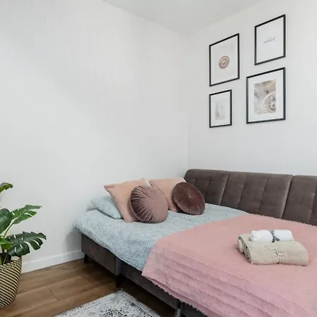 Cayenne Premium Airport *